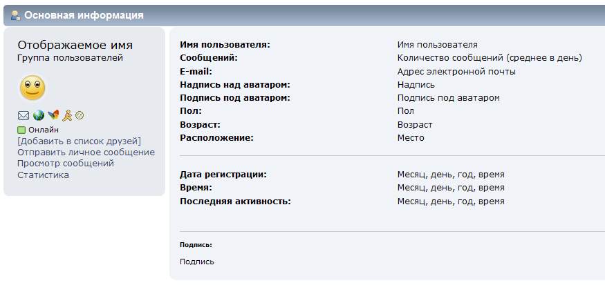 Profile summary ru.jpg